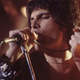 Image for article titled That Freddie Mercury biopic gets The Theory Of Everything’s writer, may really come out